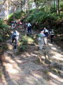 Highslide JS