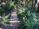 Highslide JS